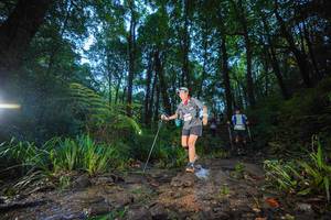 BIB: 
                            <button type="button" onclick="openModal(19241596)" class="btn btn-primary btn-sm float-right btn-popup" data-toggle="modal" data-target=".modal-high-quality">
                        <i class="fas fa-shopping-cart"></i> Add to Cart
                    </button>
                                            <button type="button" onclick="isThisMe(19241596, true)" class="btn btn-success btn-sm float-right btn-popup btn-isme hidden" data-toggle="tooltip" data-placement="bottom" title="นี่คือรูปของคุณใช่ไหม คลิกที่นี่เพื่อเอาเข้าอัลบั้ม">
                        <i class="fas fa-plus"></i> Add to album
                    </button>
                    <button type="button" onclick="isThisMe(19241596, false)" class="btn btn-warning btn-sm float-right btn-popup btn-isnotme hidden">
                        <i class="fas fa-ban"></i> Remove from album
                    </button>